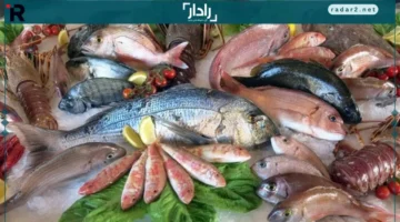 سوق العبور.. تحديث أسعار السمك الأحد 16 نوفمبر 2025 وأبرز التغيرات اليومية